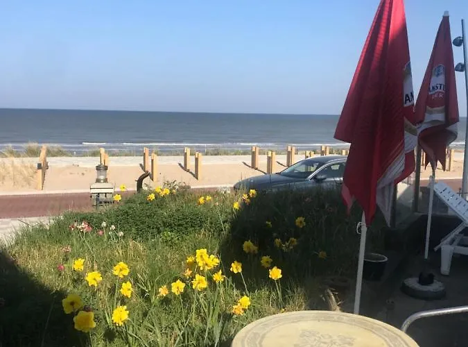 For 2 At The Zandvoort